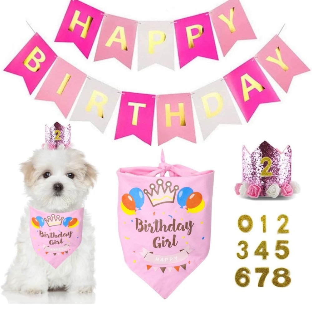 NWOT Birthday Party Supplies (Bandana, Banner, Crown, & Numbers) in Pink & Gold